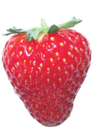Confiture de Fraise de Mara des bois