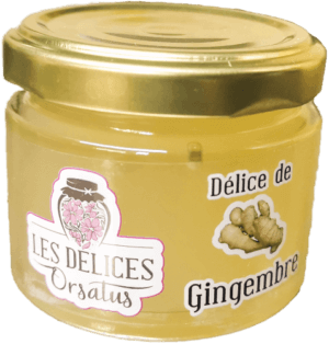 Délice de Racine de Gingembre 90 g
